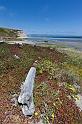 129 Point Reyes National Seashore, Drakes Beach